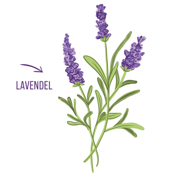 Schwedenkräuter Naturseife mit Lavendel und Salbei